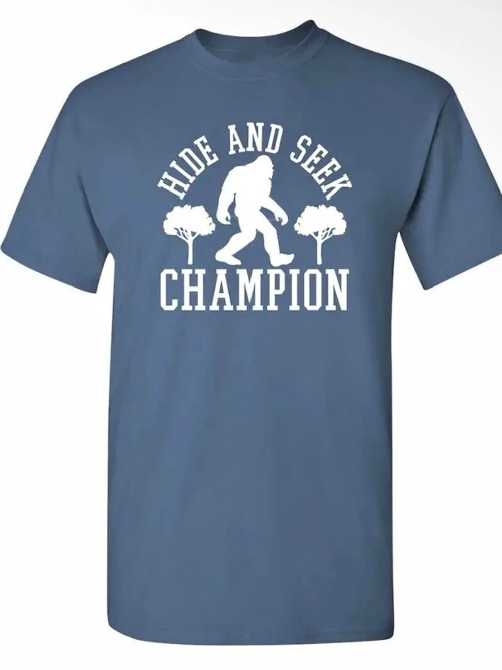 Graphic Short Sleeve Tee in Blue Like New